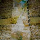 Ugunīgu zirgu nestie sapņi