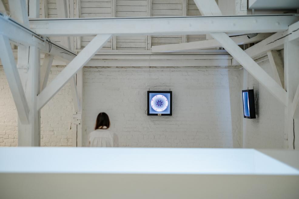 A woman viewing projections of ornamental plates on screens in the white exhibition space “Qalqan. Symbols of Crimean Tatars”.