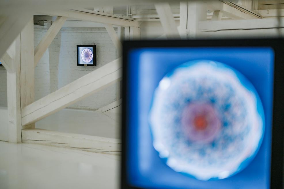 Izstādes “Qalqan. Krimas tatāru simboli” ekspozīcijas skats ar digitāliem gaismas paneļiem, kuros redzami Rustema Skibina ornamentālie darbi.