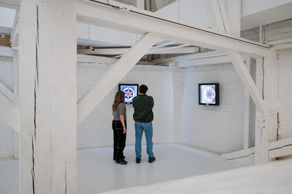 Čau, čau visiem pirmdienā!     Es varētu uzrakstīt, kuri būs un viņi tad izdomātuzbraukt palīgā Edītei un Igoram pie mājas? Viņi pagājušā nedēļā divatā taisīja savā atvaļinājuma nedēļā āra apdari. Ir kādi meistari kas strādā iekšā, bet nepieciešama palīdzība pie ārējās apdares. Zinu, ka @Pēteris Bikše un @Tētis viss būtu skaidrs, bet es īsti nesapratu, ko es varētu palīdzēt? Es labprāt palīdzētu, kamēr nav tik auksts, ka pirksti salst. Vai kāds vēl vēlētos / varētu? Es varētu uzrakstīt, kuri būs un viņi tad izdomātu, kas ko varētu darīt. 