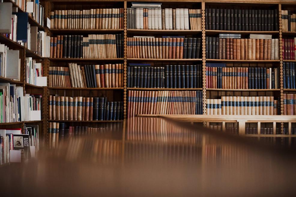 Grāmatu plaukti Latvijas Nacionālā mākslas muzeja bibliotēkā ar senām un jaunām mākslas grāmatām.