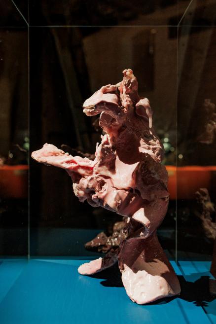 Pink, organic-shaped sculpture in a glass display case on a blue base in a dark exhibition space.