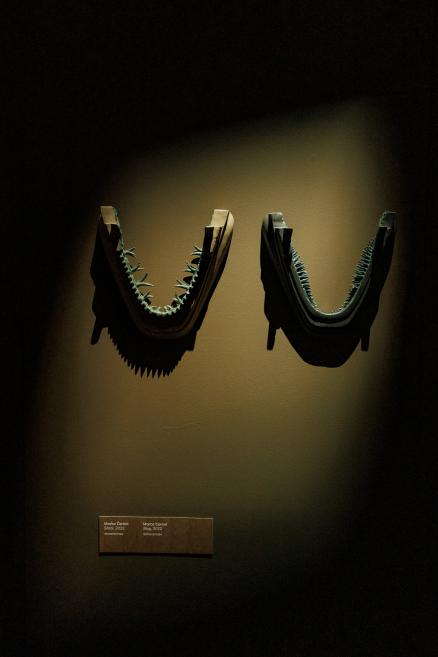 Two U-shaped sculptural objects with sharp protrusions are lit on a dark wall.