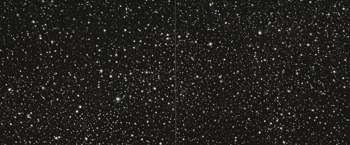 Applications for the Vija Celmins Foundation Grant are now open