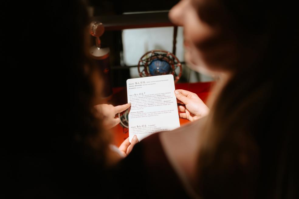 Nodarbības &ldquo;Darbnīca &ldquo;Baltars&rdquo; un mūsdienu dizains&rdquo; izglītojo&scaron;s magnētiskais &scaron;ķīvis. 2025. Dizains: Aigars Vanags. Foto: Kristiāna Zelča