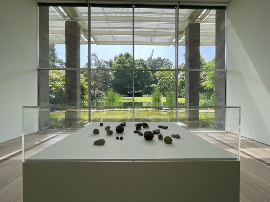 An arrangement of stones and natural objects displayed in a glass case, engaging in a dialogue with the landscape beyond the large windows, where the museum interior merges with the calm and light of the garden.