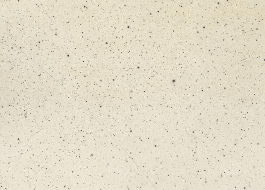 A light cream-colored background with a fine, uneven scatter of dark speckles, resembling a starry sky or a dusty surface.