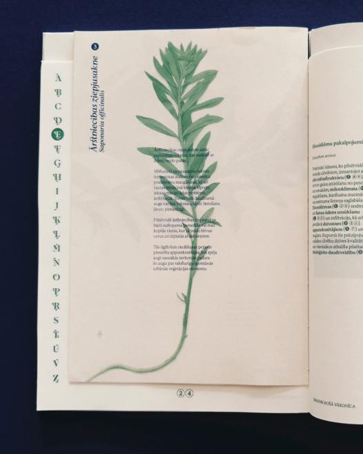 Atvērta grāmatas lapa ar zaļu ārstniecības ziepjusaknes ilustrāciju un latvisku tekstu par ekosistēmu pakalpojumiem.