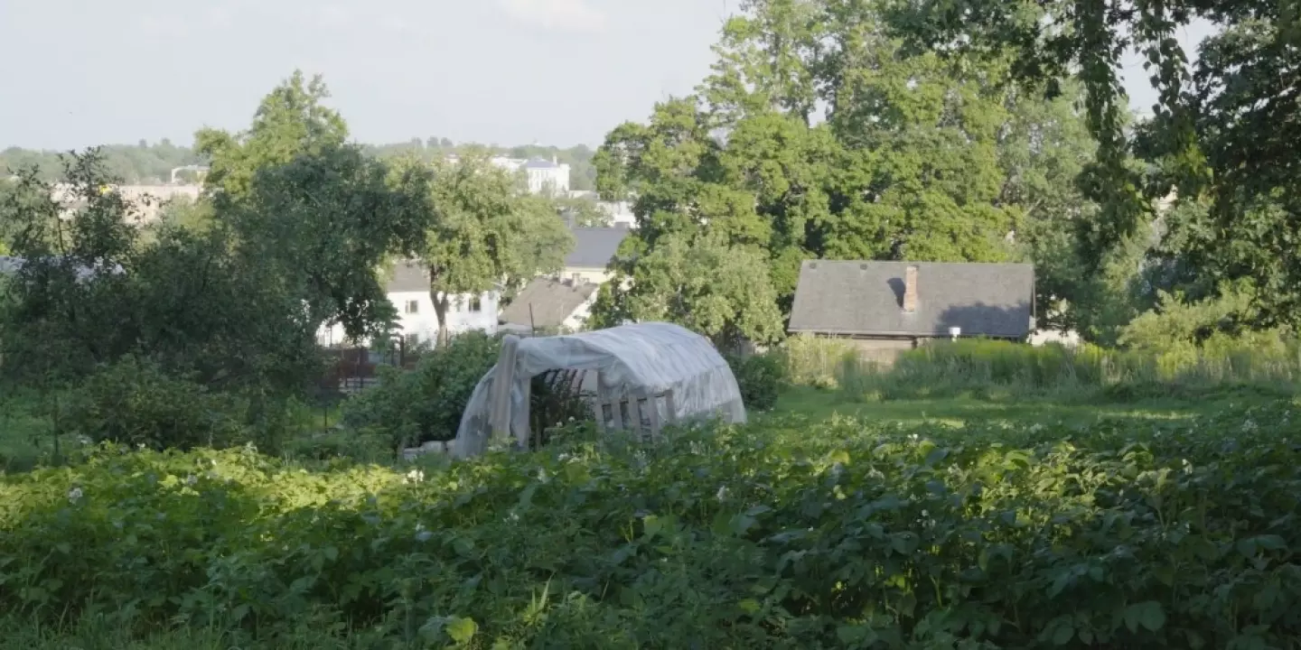 Jaana Kokko. Roma Mountain. Still image from a film. 2020. Property of the artist