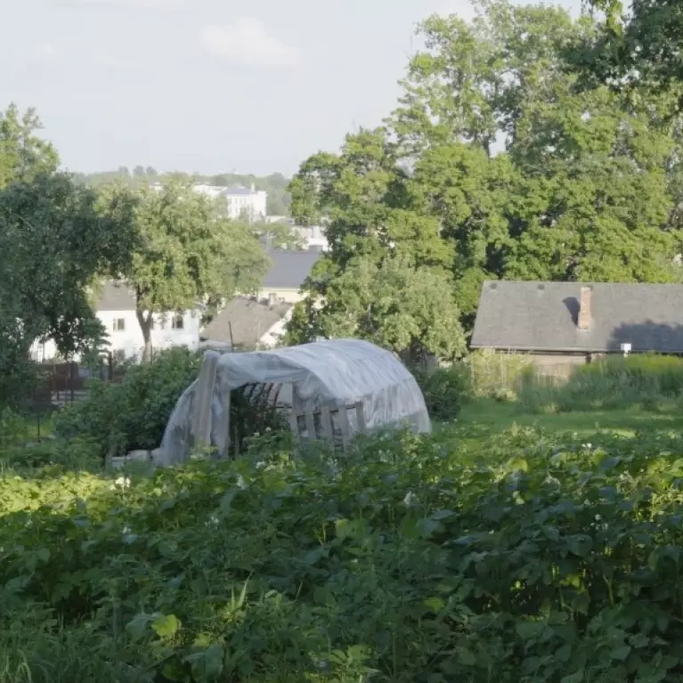 Jaana Kokko. Roma Mountain. Still image from a film. 2020. Property of the artist