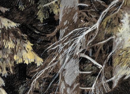 Rihards Zariņš (1869–1939). What Latvia’s Forests Are Whispering