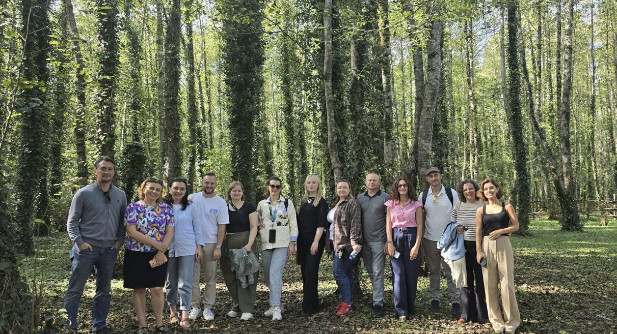 A group of eleven people stands in a forest among tall trees.