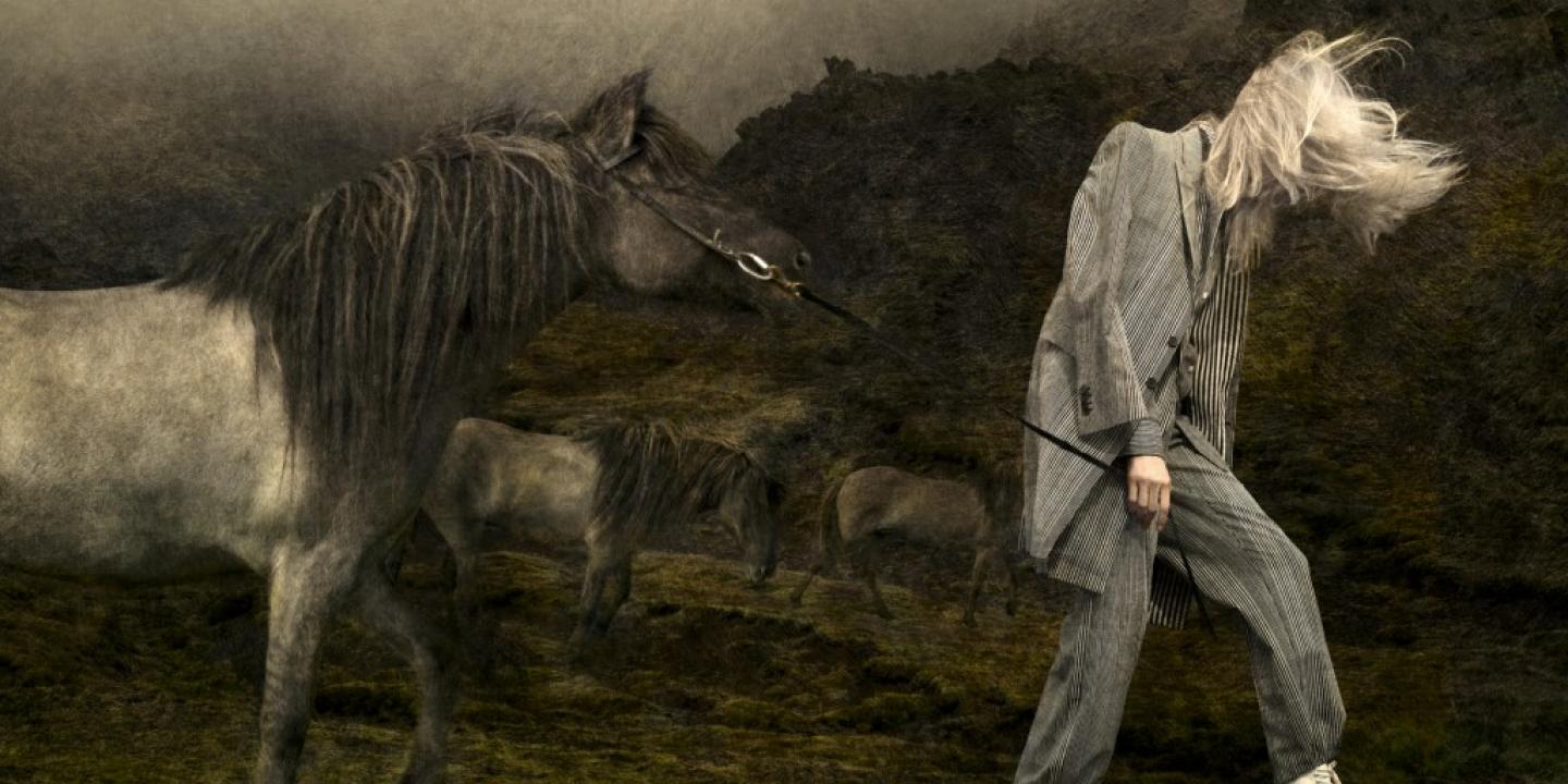 The Herder. 2014.&nbsp;