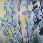 Meadow