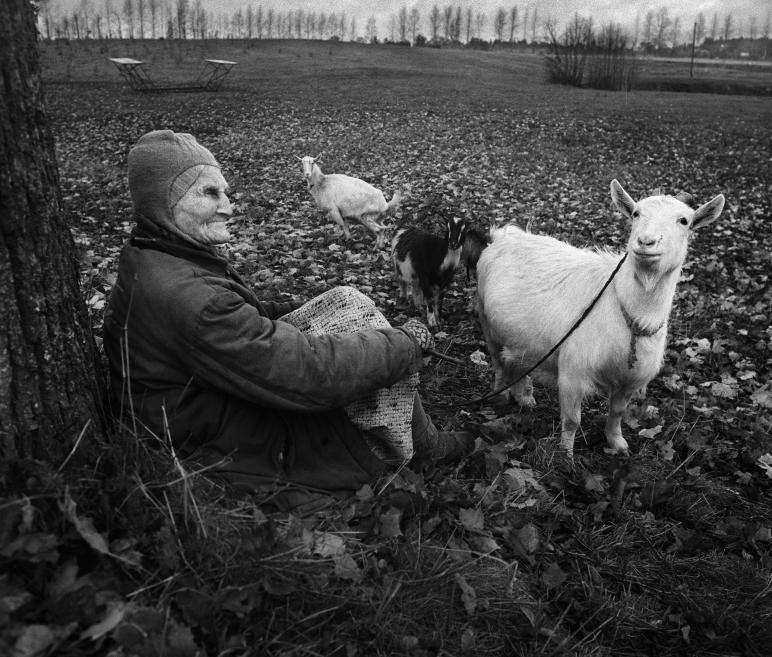 Black-and-white photograph of a seated woman in a park among goats, with one white goat in the foreground.