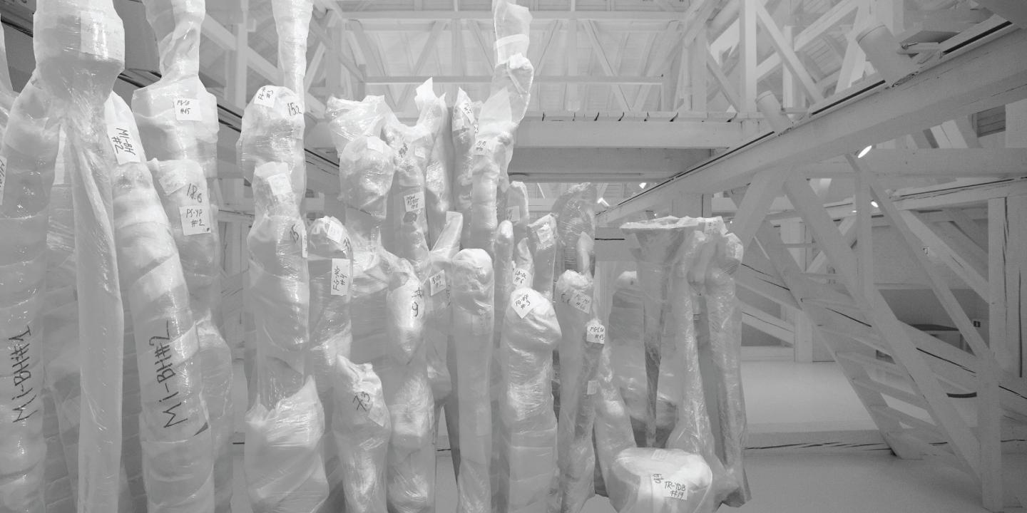 White images at the exhibition.