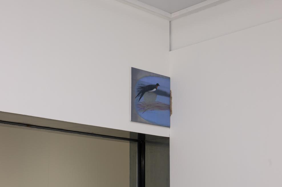 Works by Inga Meldere and Luīze Nežberte at the Purvītis Prize 2025 exhibition.