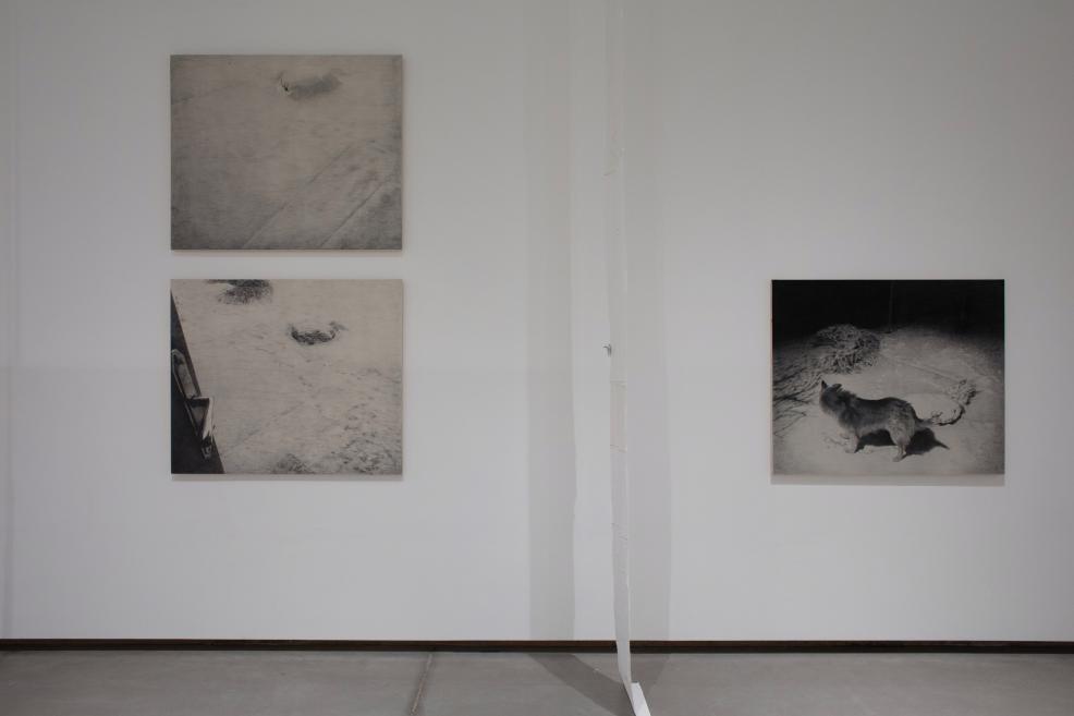 Works by Luīze Rukšāne at the Purvītis Prize 2025 exhibition.