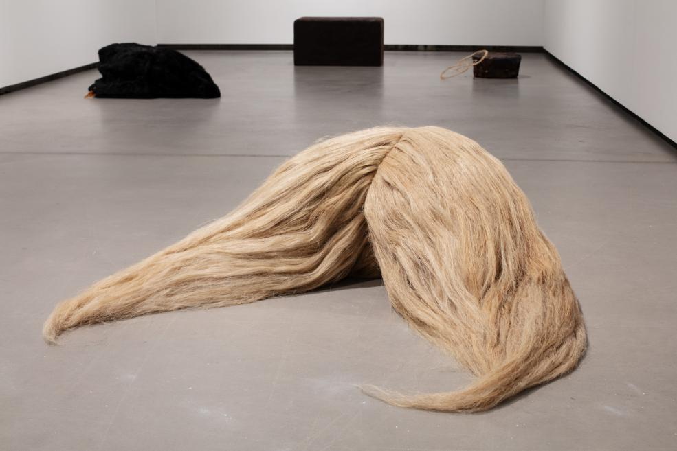 Paula Zvane&#039;s works at the Purvītis Prize 2025 exhibition.