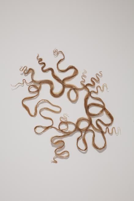 Paula Zvane&#039;s works at the Purvītis Prize 2025 exhibition.