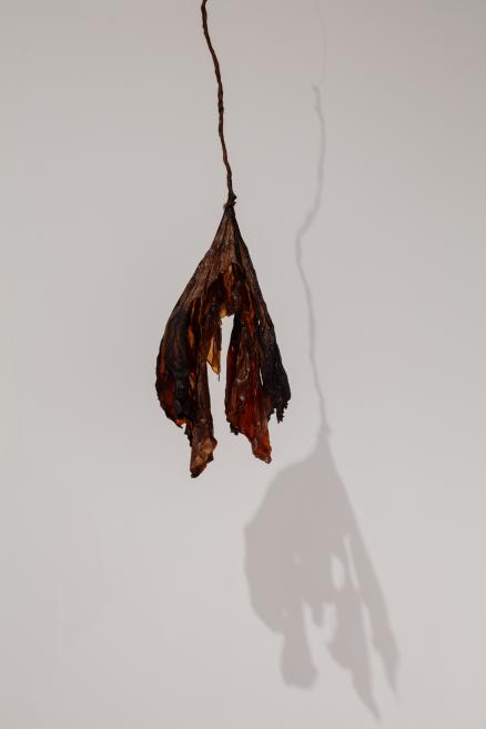 Paula Zvane&#039;s works at the Purvītis Prize 2025 exhibition.
