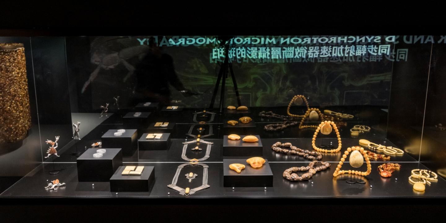 Izstādes vitrīna ar dzintara rotām un priekšmetiem – kaklarotām, kuloniem un amuletiem, izkārtotiem uz melna pamata.