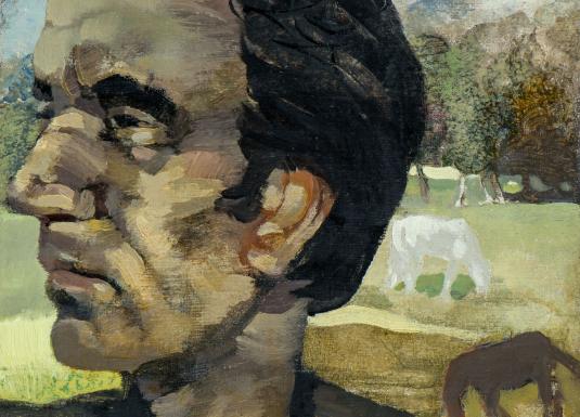 Close-up portrait of man in countryside with horses