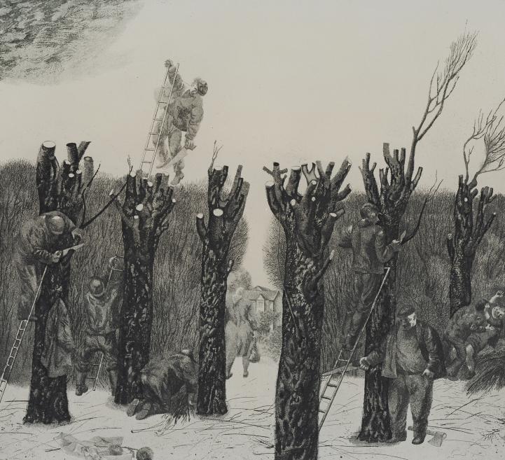 Black-and-white graphite drawing of people pruning cut tree trunks and branches with ladders in a snowy forest landscape.