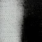 Black-and-white artwork depicting blurred shapes. Visible texture of canvas.