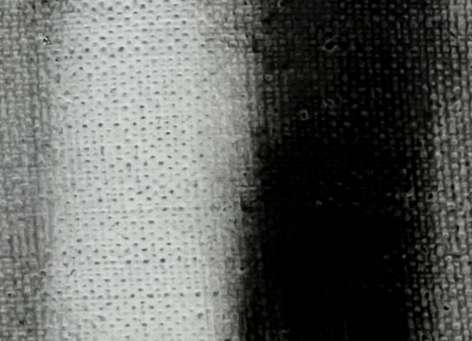 Black-and-white artwork depicting blurred shapes. Visible texture of canvas.