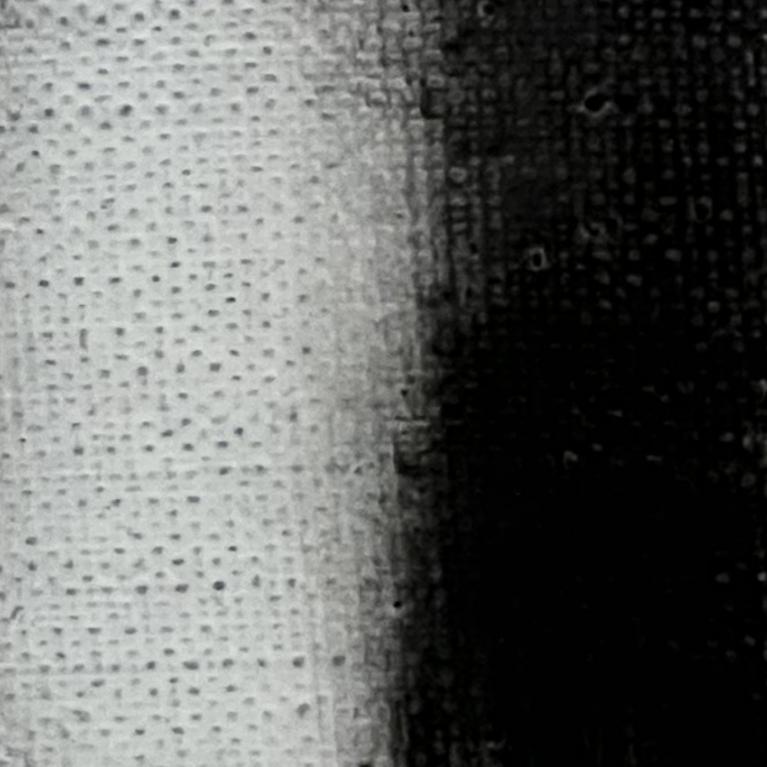 Black-and-white artwork depicting blurred shapes. Visible texture of canvas.