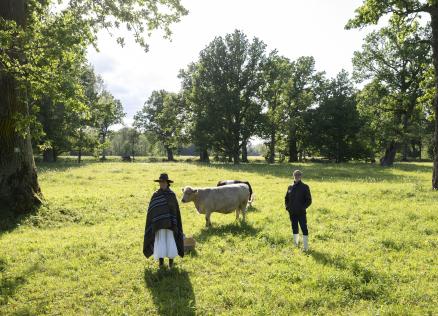 Saulaina pļava ar trim cilvēkiem un govi starp lieliem kokiem.
