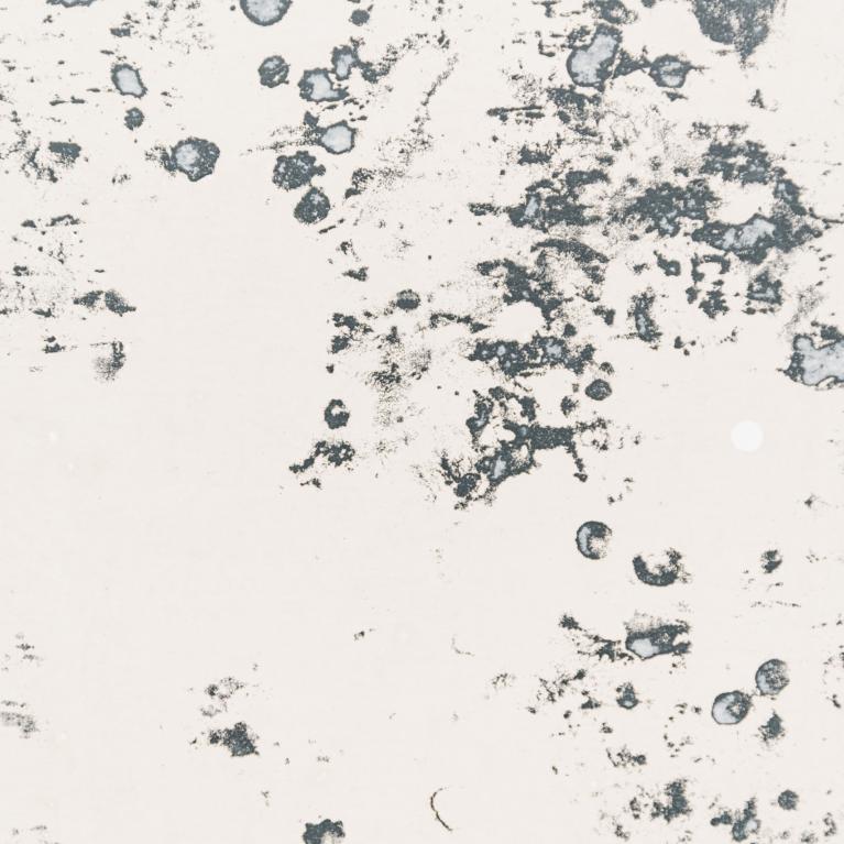 ... and Flow... Jānis Murovskis... screenprint...