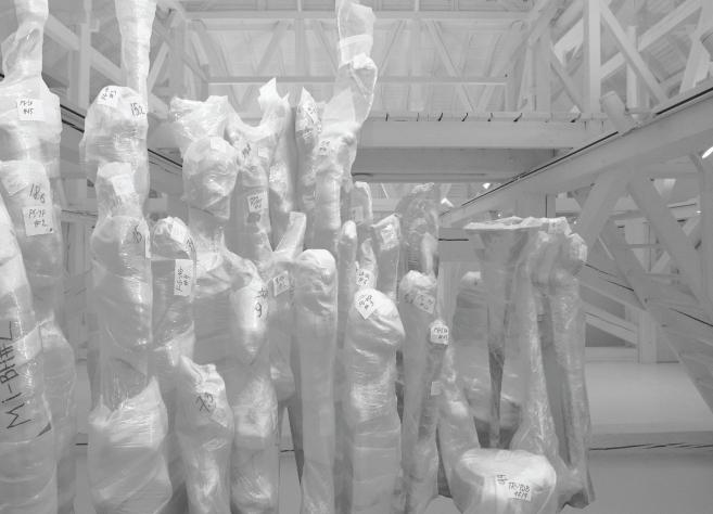 White images at the exhibition.