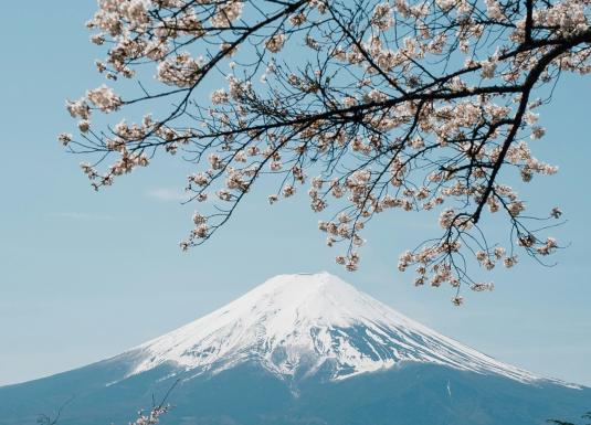 Ziedošu ķiršu zaru rāmī redzams sniegots Fudži kalns zem skaidrām zilām debesīm pavasara noskaņā.