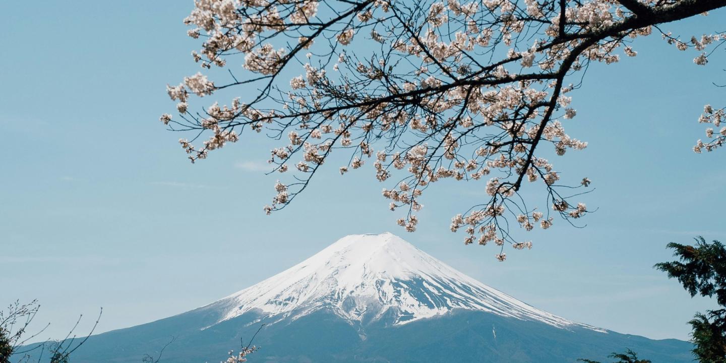 Ziedošu ķiršu zaru rāmī redzams sniegots Fudži kalns zem skaidrām zilām debesīm pavasara noskaņā.