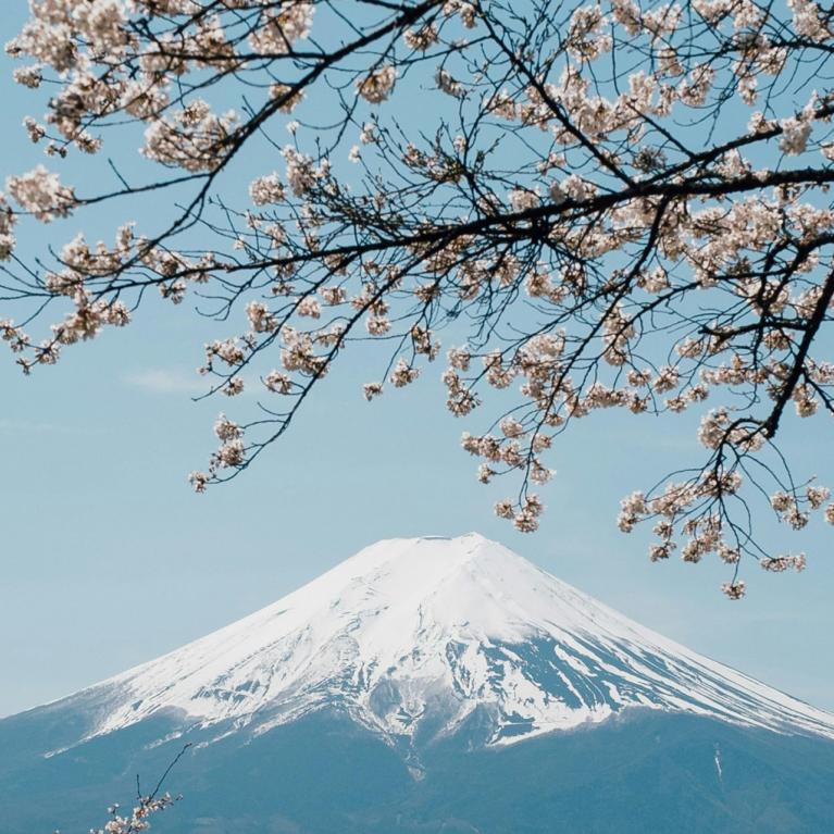 Ziedošu ķiršu zaru rāmī redzams sniegots Fudži kalns zem skaidrām zilām debesīm pavasara noskaņā.