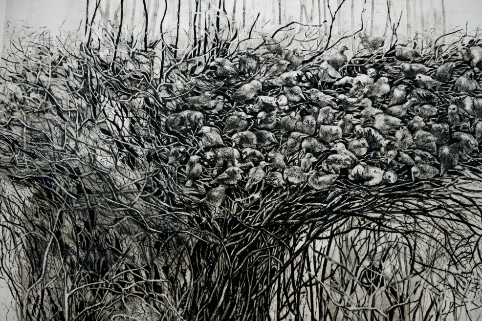 A black-and-white graphic artwork depicting a large bird nest in tree branches filled with numerous closely gathered birds against a forest background.