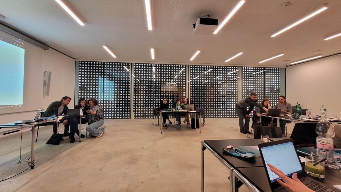 &ldquo;Talking Heads&rdquo; project activities