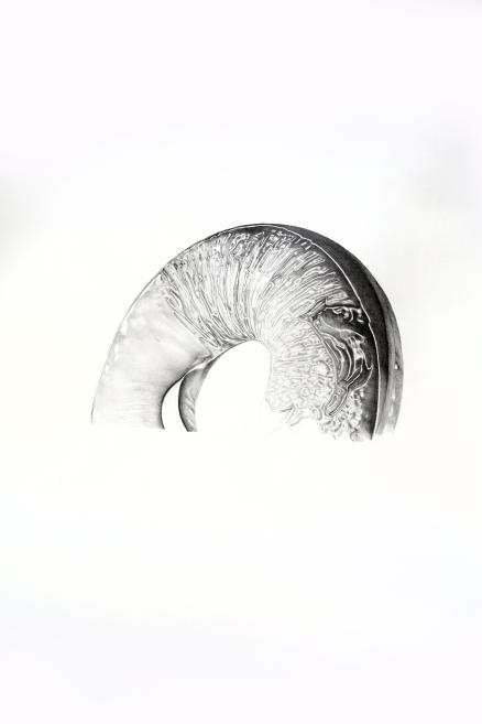 A curved decorative metal detail with a textured relief surface against a light background.