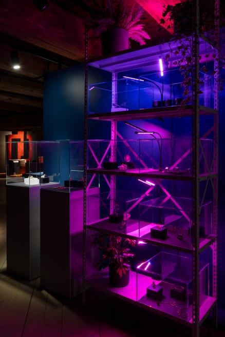 A museum installation lit by pink and blue neon light, with metal shelving, glass display cases, potted plants, and small jewelry or object exhibits.