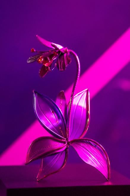 Abstrakta metāla un stikla zieda skulptūra ar rozā un violetu izgaismojumu uz tumša fona.
