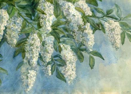 Glezna ar ziedošu koka zaru, uz kura redzamas baltas ziedu ķekaru kopas un zaļas lapas uz gaiši zilgana fona.